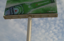 heineken
